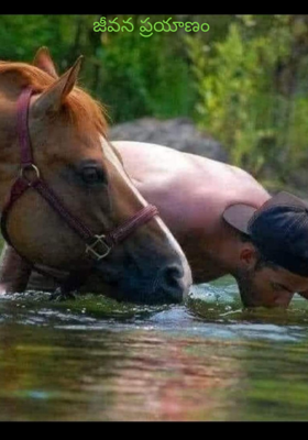 జీవన ప్రయాణం