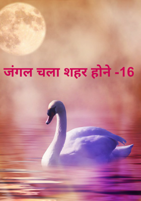 जंगल चला शहर होने -16