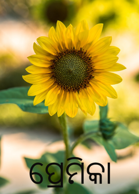 ପ୍ରେମିକା