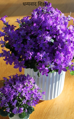 धन्यवाद शिक्षक