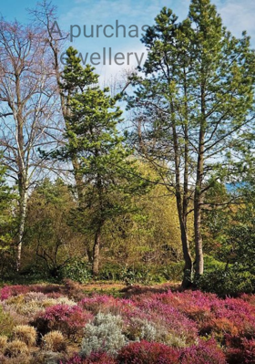 A purchase in a jewellery shop