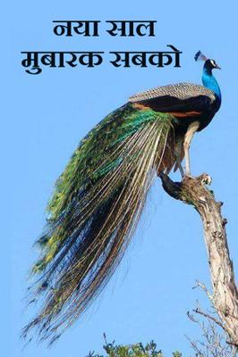 नया साल मुबारक सबको