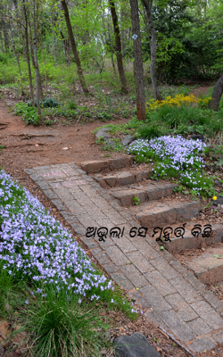 ଅଭୁଲା ସେ ମୁହୁର୍ତ୍ତ କିଛି