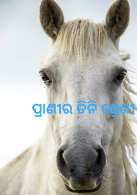 ପ୍ରାଣୀର ତିନି ଶ୍ରେଣୀ