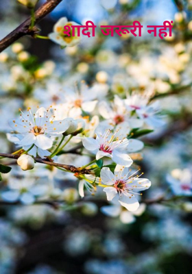 शादी जरूरी नहीं