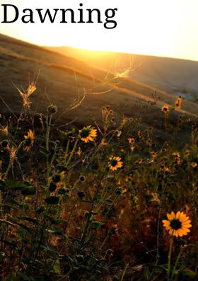 Dawning