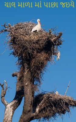 ચાલ માળા માં પાછા જઇયે