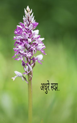 अधुरे स्व्प्न..