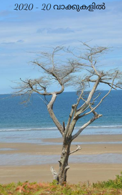 2020 - 20 വാക്കുകളിൽ