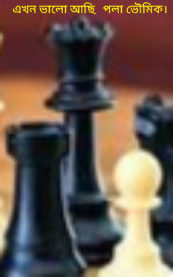 এখন ভালো আছি,  পলা ভৌমিক।