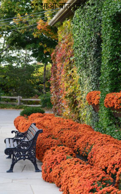 आओ बात करें