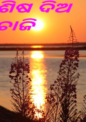 ଆଶିଷ ଦିଅ ଚାଚାଜି