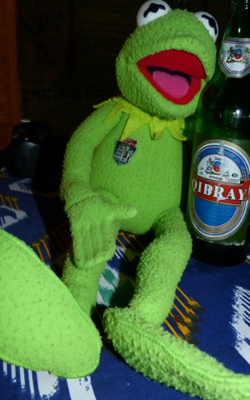 গোয়েন্দা টিয়া