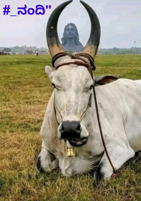 #_ನಂದಿ"
