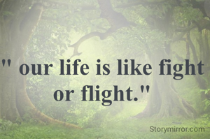 " our life is like fight or flight."