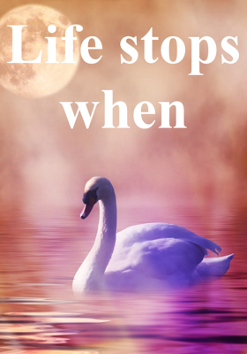 Life stops when