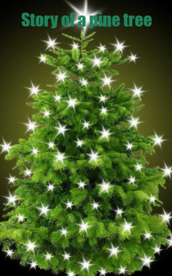 Story of a pine tree