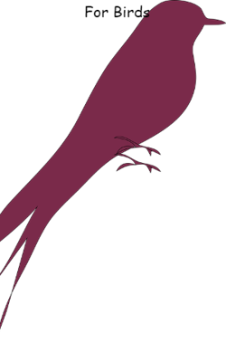 For Birds