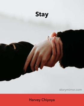 Stay