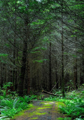 మన మనుగడ