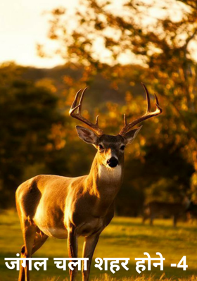जंगल चला शहर होने -4