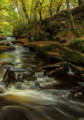 ମୋ ଜନ୍ମଭୂମି