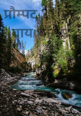 प्रौम्पट 21(पेंट बाय थॉमस