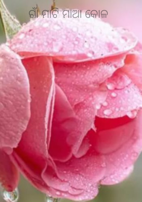 ଗାଁ ମାଟି ମାଆ କୋଳ 