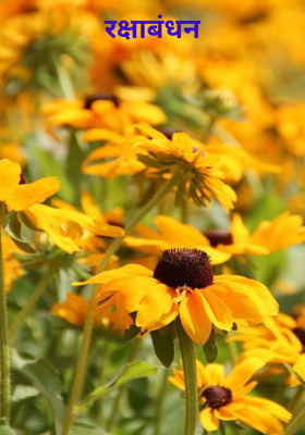 रक्षाबंधन