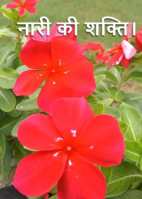 नारी की शक्ति।