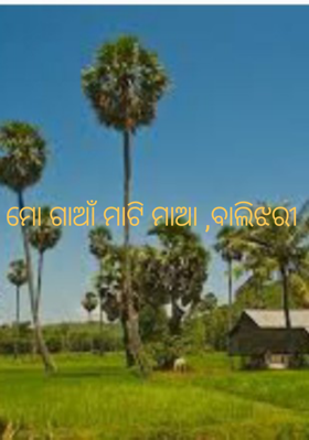 ମାେ ଗାଆଁ ମାଟି ମାଆ