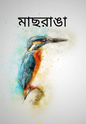 মাছরাঙা