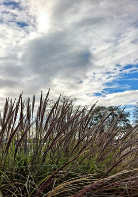 गाँव तुम खुद बदले