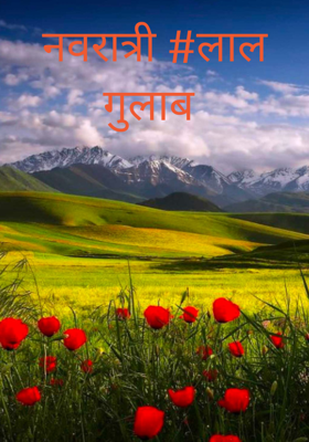 नवरात्री लाल गुलाब