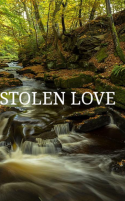 Stolen Love