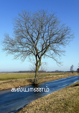 கல்யாணம்