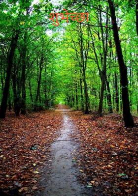 शुभेच्छा