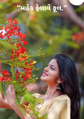 મહેક ફેલાવે ફૂલ