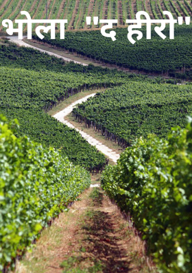 भोला  "द हीरो"