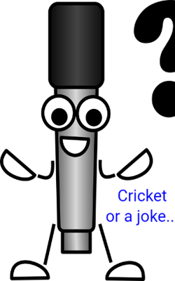 Cricket or a Joke....