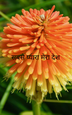 सबसे प्यारा मेरा देश