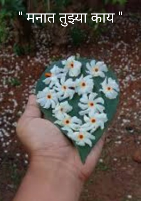 " मनात तुझ्या काय "