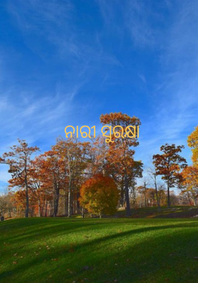 ନାରୀ ସୁରକ୍ଷା