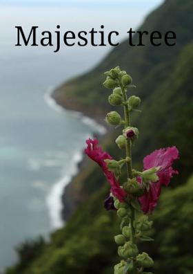 Majestic Tree