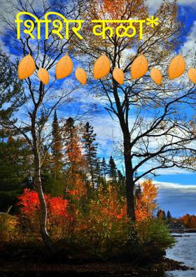 शिशिर कळा*  🍂🍂🍂🍂🍂🍂🍂🍂🍂