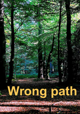 Wrong path