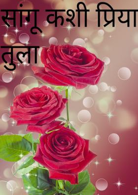 सांगू कशी प्रिया तुला