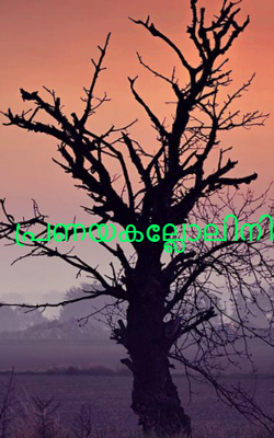 പ്രണയകല്ലോലിനി