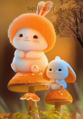 અલી ચાલો