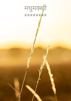 मधुमक्खी